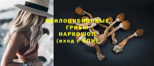 ешки Балахна