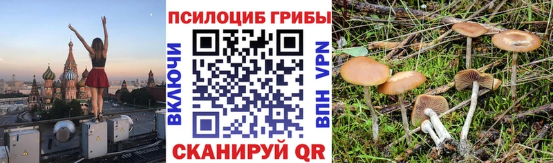 Псилоцибиновые грибы Magic Shrooms  shop клад  Очёр 